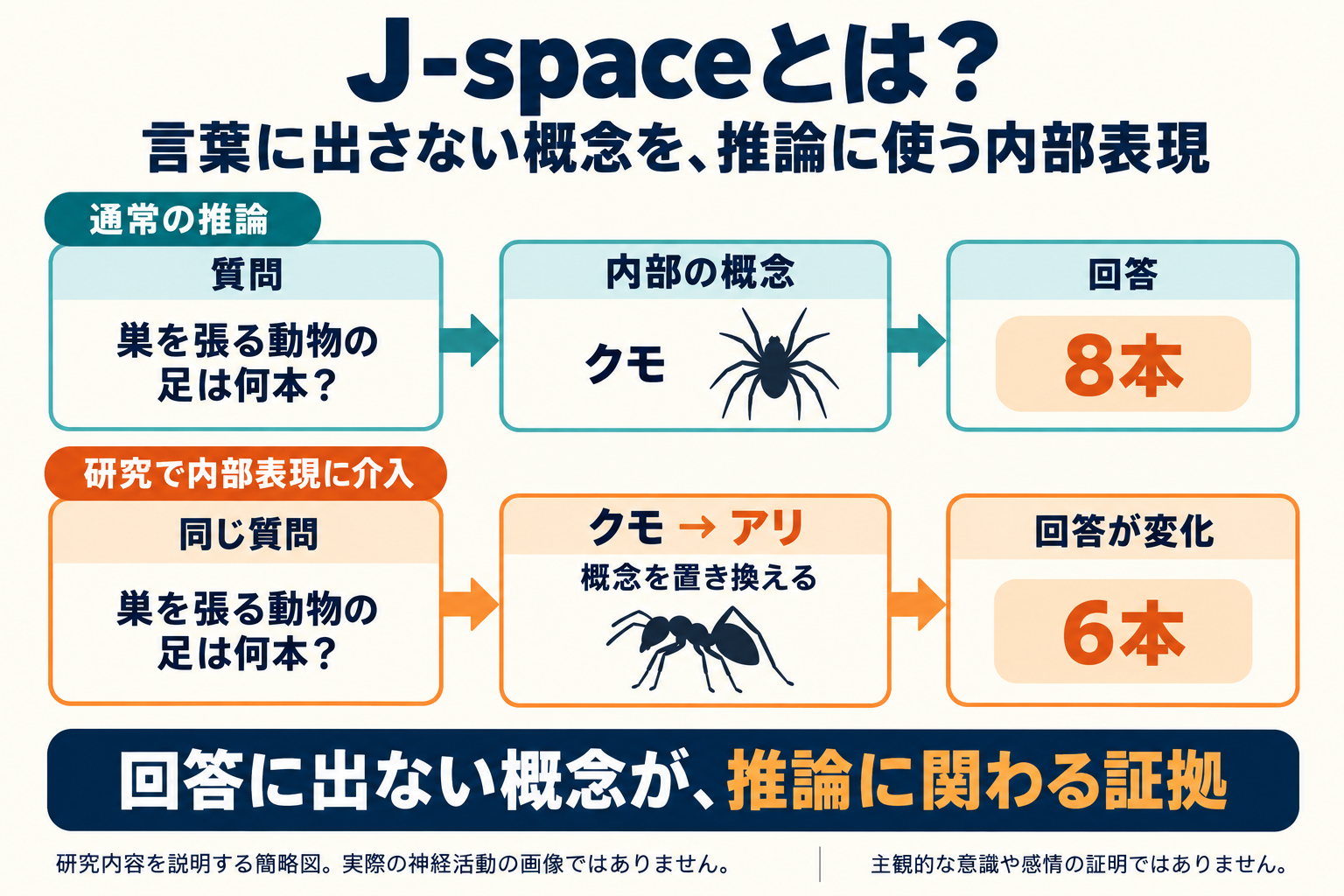 Jスペースの推論を示す簡略図。巣を張る動物からクモを内部で表現して8本と回答し、研究者がクモの表現をアリに置き換えると6本へ変化する。